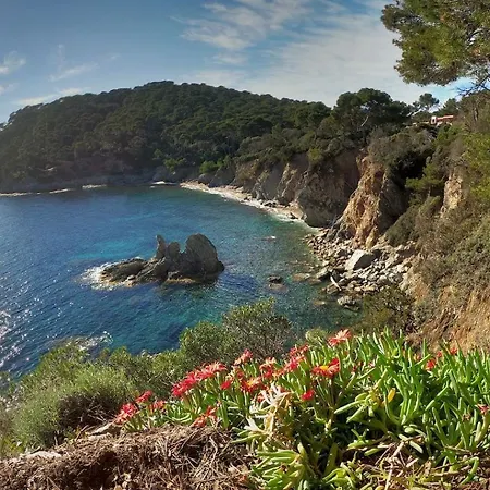 Apartment Proche Port Et Plages, Au Calme