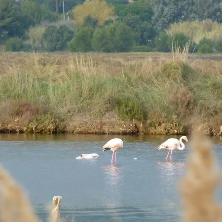 Proche Port Et Plages, Au Calme