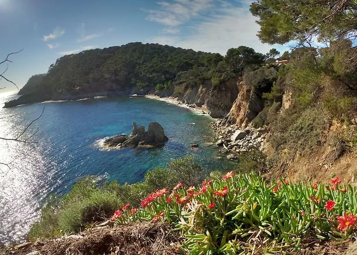 公寓 Proche Port Et Plages, Au Calme