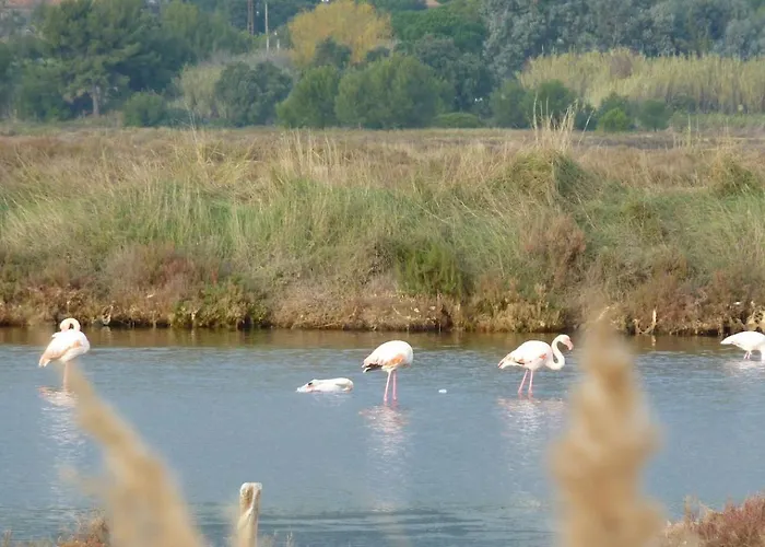 Proche Port Et Plages, Au Calme